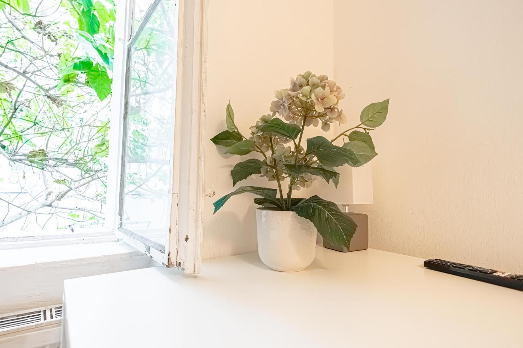 Central Belvedere 3Br Shared Apartment - 12 Min From City Center Вена Экстерьер фото